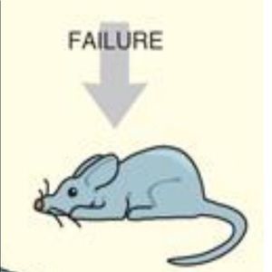 Meet your Posher, Isabella